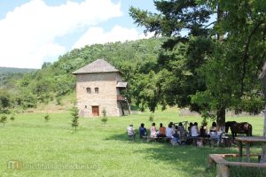 2010 Cantonamentul de Desen