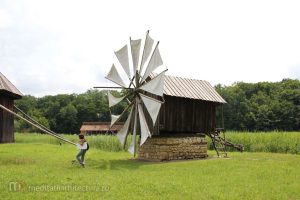 2010 Cantonamentul de Desen